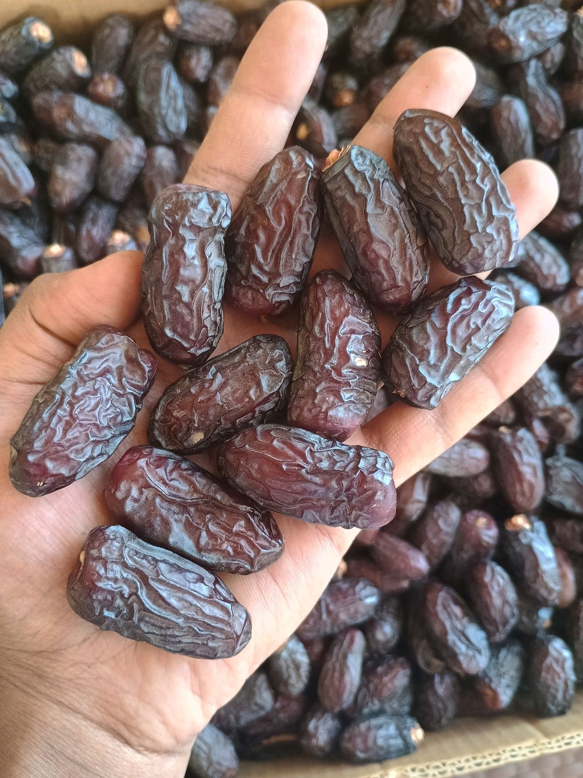 Snakory Safawi Dates (1kg) – Quality You Can Taste
