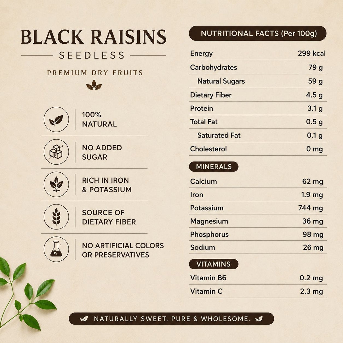 Snakory Premium Black Raisins (Seedless) – Smooth, Naturally Sweet