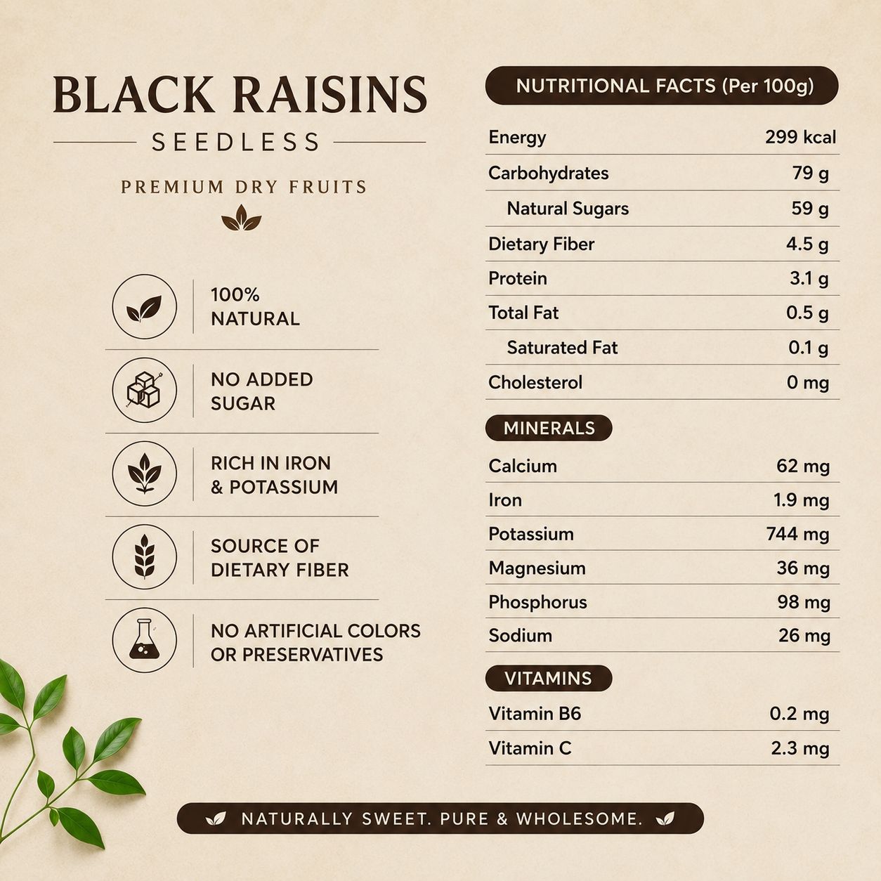 Snakory Premium Black Raisins (Seedless) – Smooth, Naturally Sweet